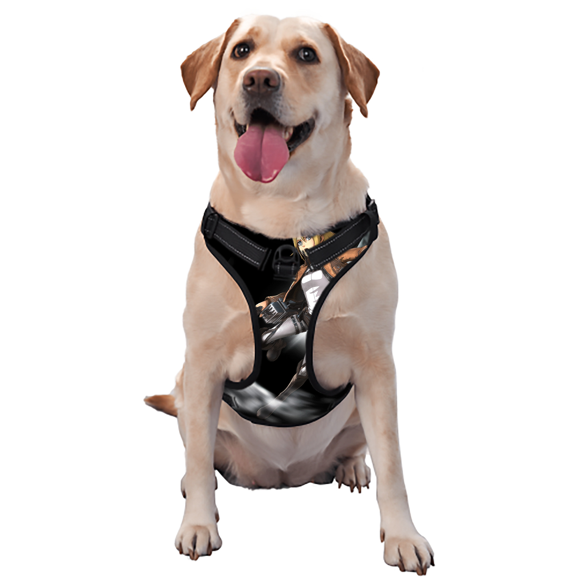 （画像用） 進撃の巨人 クリスタ·レンズ Attack on Titan Christa Lenz ペット用ハーネス